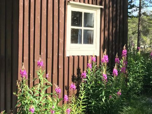 B�tst� Camping