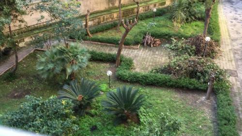 Bed & Breakfast Cebollitas B&amp;b