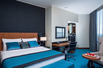 Radisson Blu Hotel Moscow Sheremetyevo Airport