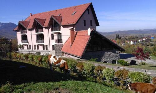 Hotel Sofia