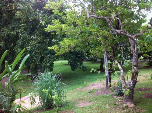 Hostal Bed & Breakfast Chiang Rai
