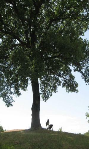 Agroturismo C� Maggio Nuovo