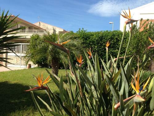 Villa Lilium