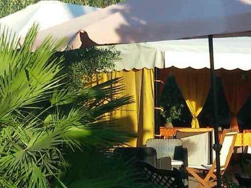 Hostal Residence La Farfalla