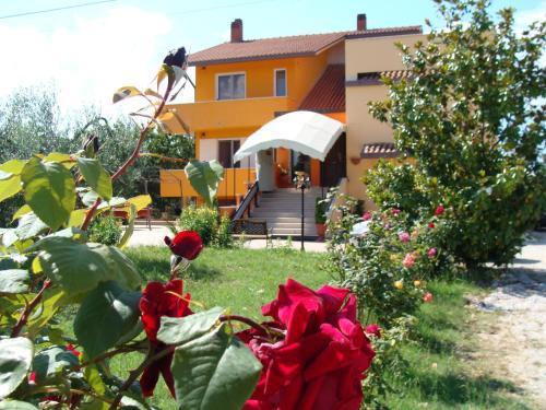 Hostal Residence La Farfalla