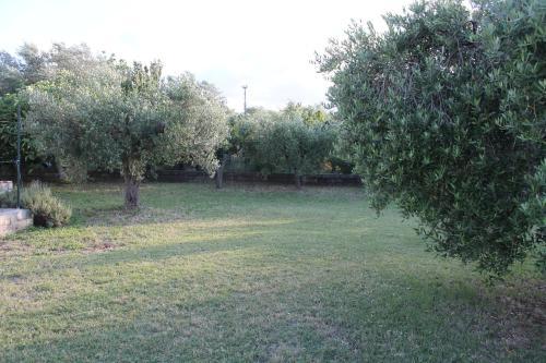 Hostal Residence La Farfalla