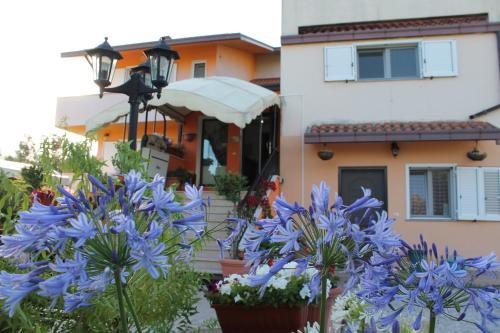Hostal Residence La Farfalla