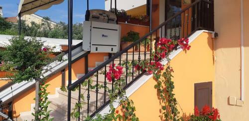Hostal Residence La Farfalla