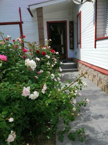 Hostal Liiva Guest Accommodation