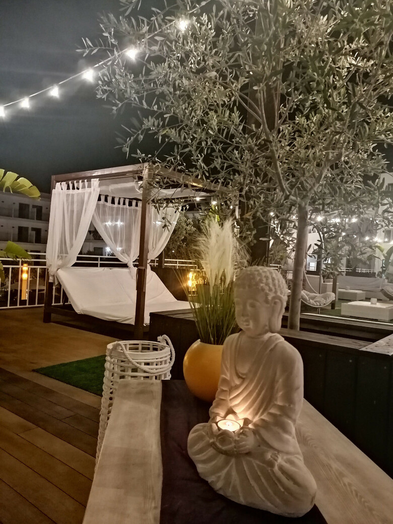 Hotel Puchet
