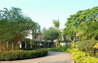 Hotel Palm Village
