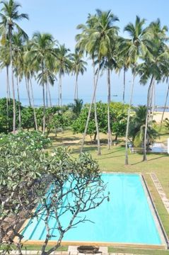 Hotel Pegasus Reef