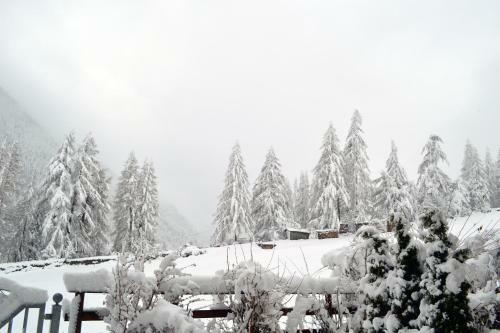 Hostal Pension Zur Alten M�hle
