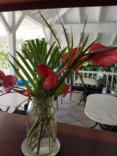 Hotel H�tel Amaudo