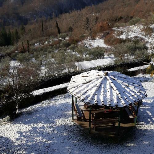 Agroturismo Agriturismo Borgo Del Senatore