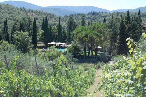 Agroturismo Agriturismo Borgo Del Senatore