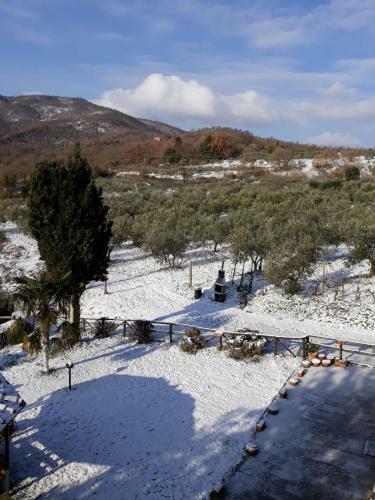 Agroturismo Agriturismo Borgo Del Senatore