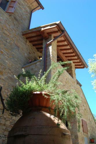Agroturismo Agriturismo Borgo Del Senatore