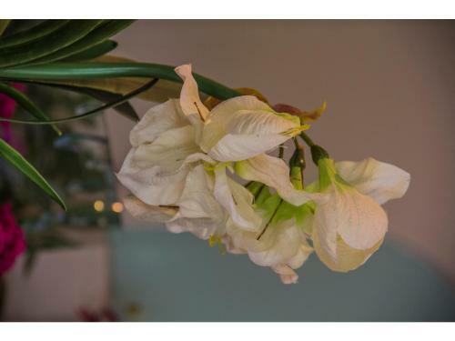 La Loggia Bed And Breakfast
