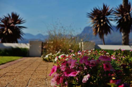 Wild Mushroom Boutique Hotel