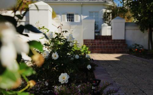 Wild Mushroom Boutique Hotel