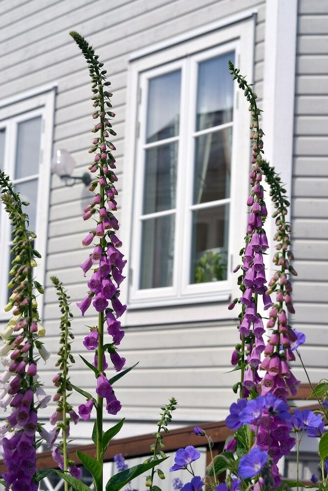 Bed & Breakfast Villa Sedin