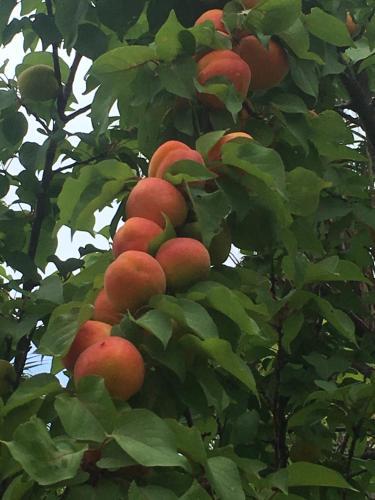 Hostal Agriturismo Ruralia