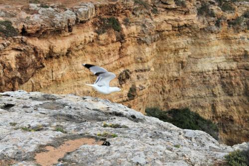 Apartamentos Turisticos Praia Grande