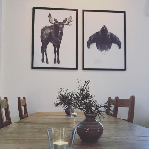 Agroturismo Torg�sg�rden Hostel