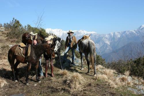 Hostal Centro Trekking A Cavallo Monte Brugiana