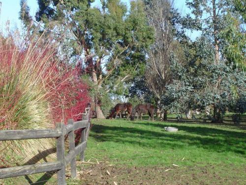 Hokonui Bed &amp; Breakfast
