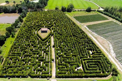 Agroturismo Redberry Farm