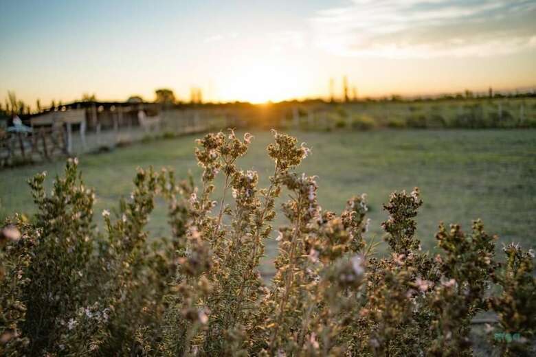 Agroturismo Finca La Carmelita