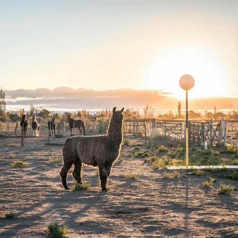 Agroturismo Finca La Carmelita