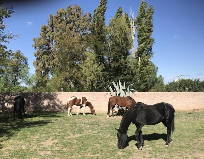 Agroturismo Finca La Carmelita