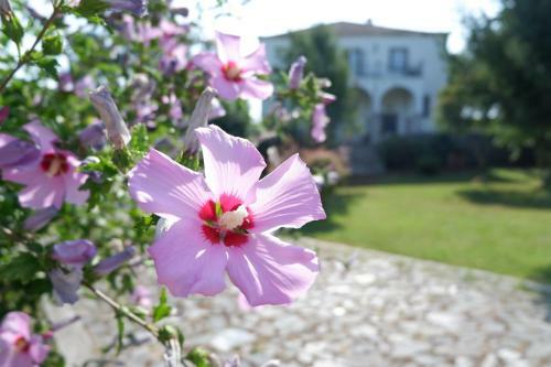 Agroturismo Quinta Da Rica-f�