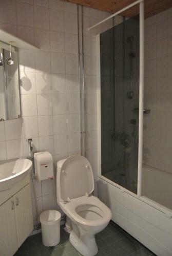 Hostal Tahkonhovi Golden Chalet