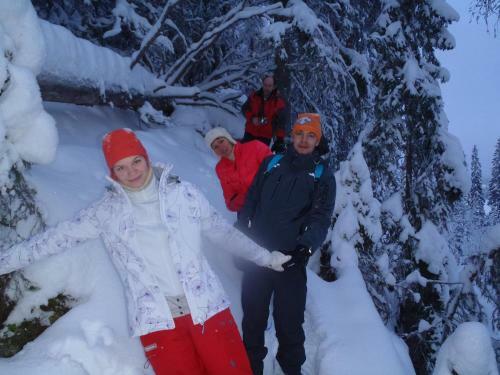 Hostal Tahkonhovi Golden Chalet