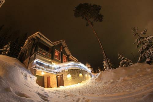 Hostal Tahkonhovi Golden Chalet