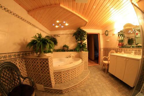 Hostal Tahkonhovi Golden Chalet