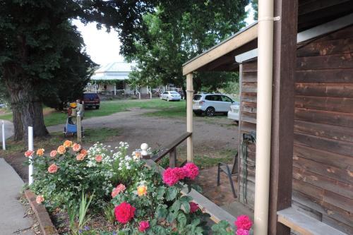 Snug As A Bug Motel