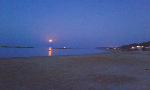 Villa Carol Appartamento E B&B