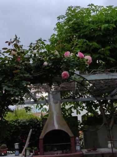 Villa Carol Appartamento E B&B