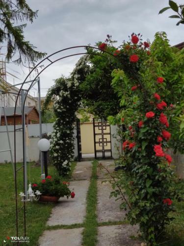 Villa Carol Appartamento E B&B