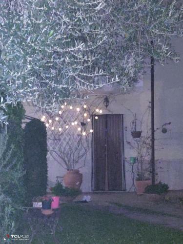 Villa Carol Appartamento E B&B
