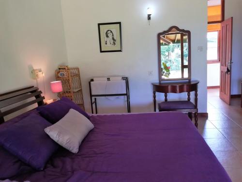 Hostal Jungletide
