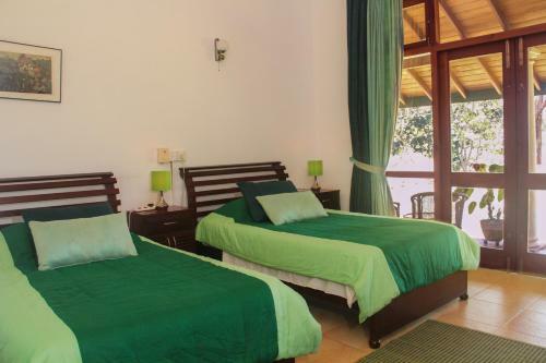 Hostal Jungletide
