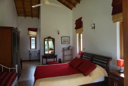 Hostal Jungletide