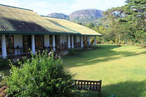 Hostal Jungletide