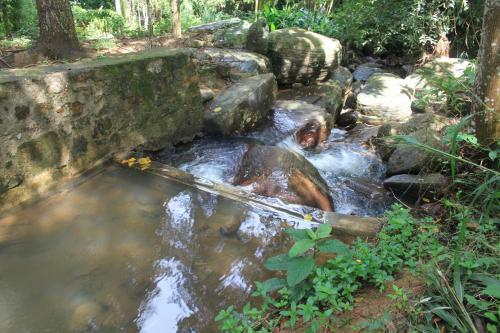 Hostal Jungletide